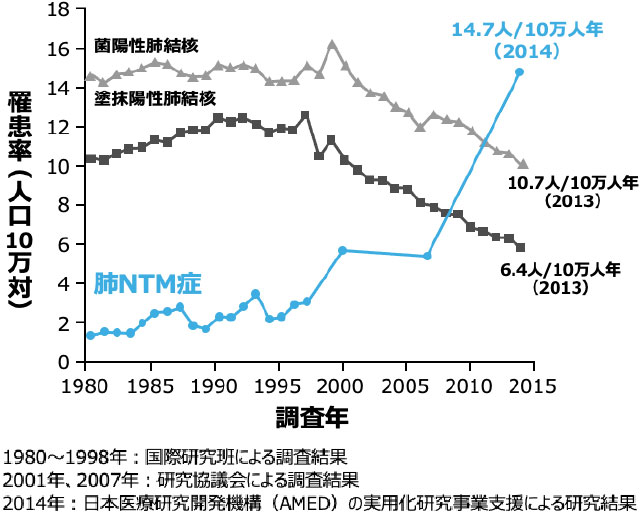 肺NTM症罹患率の年次推移（1980〜2014年）